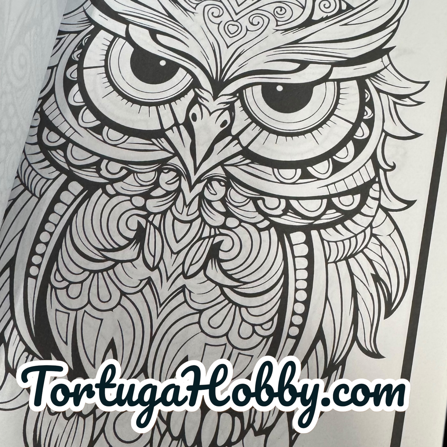 Owls - Adult Coloring Book