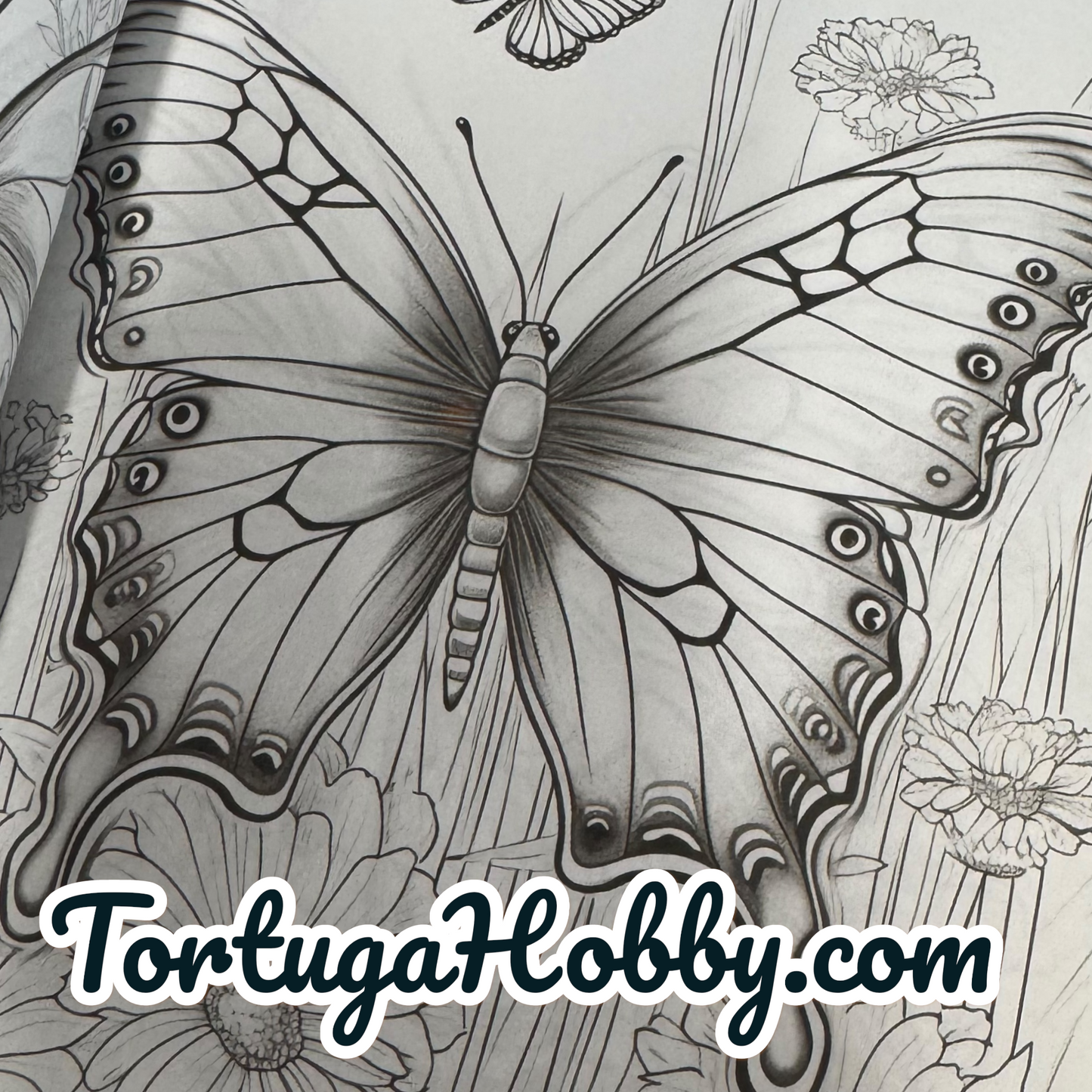 Dragonflies & Butterflies - Adult Coloring Book. 100+ Pages.