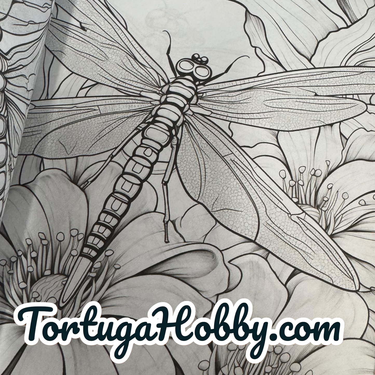 Dragonflies & Butterflies - Adult Coloring Book. 100+ Pages.