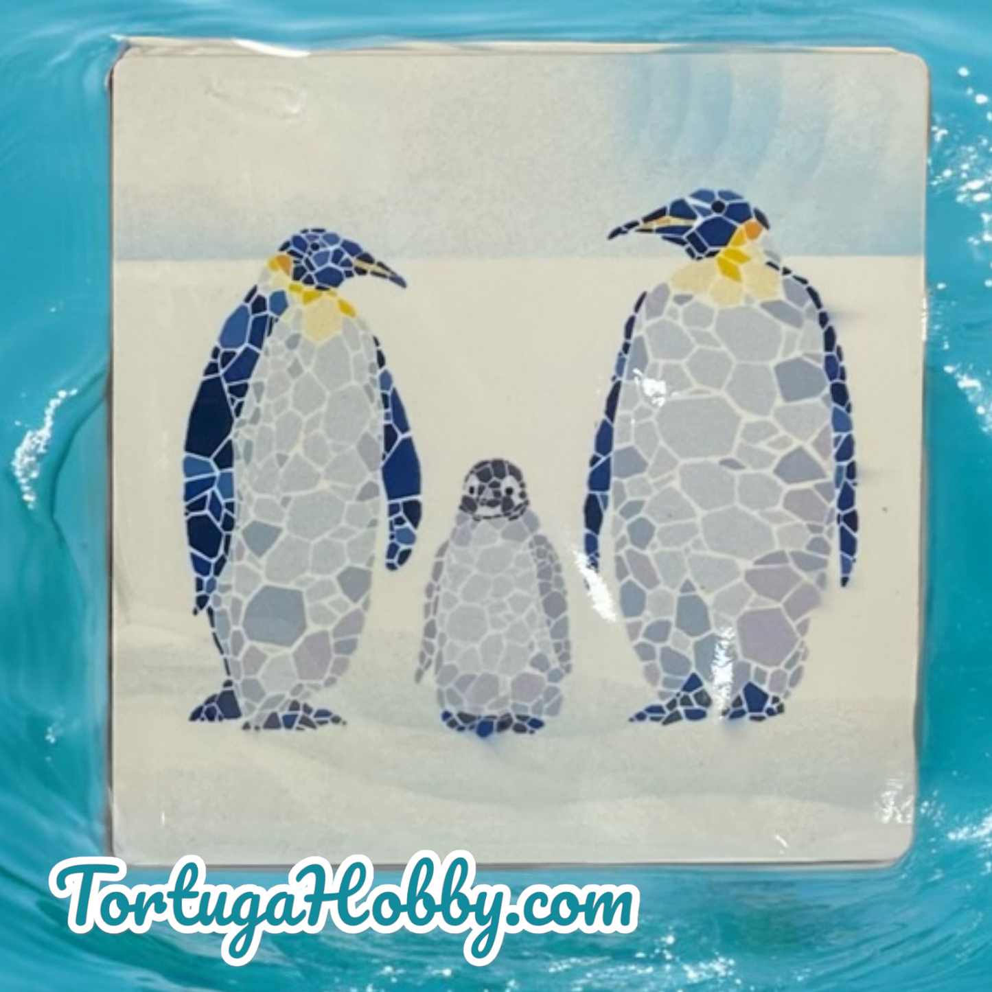 Coaster Set - Mosaic Sea Life