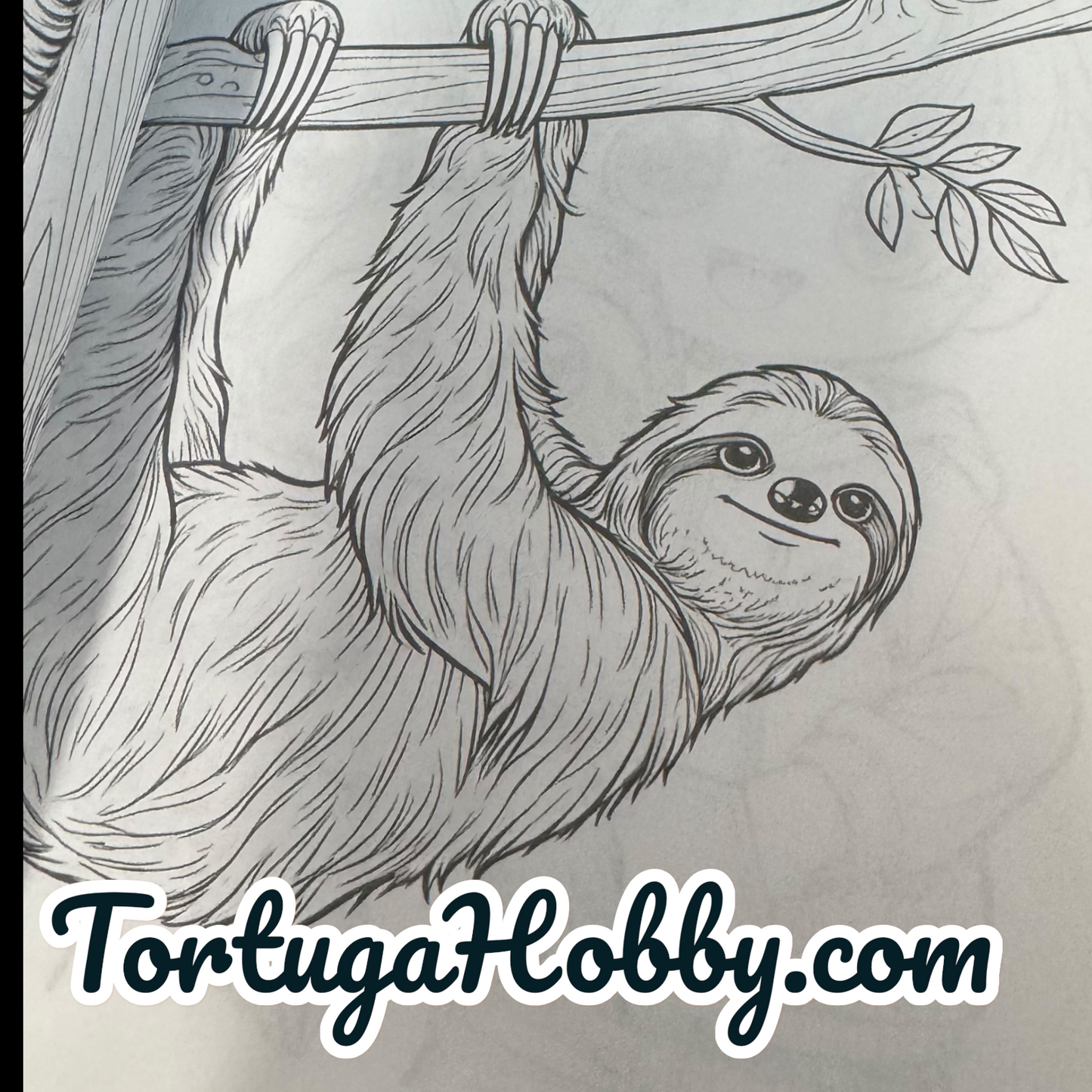 The Book Of Sloth - Adult Coloring Book -  Coloring Book. 100+ Pages.