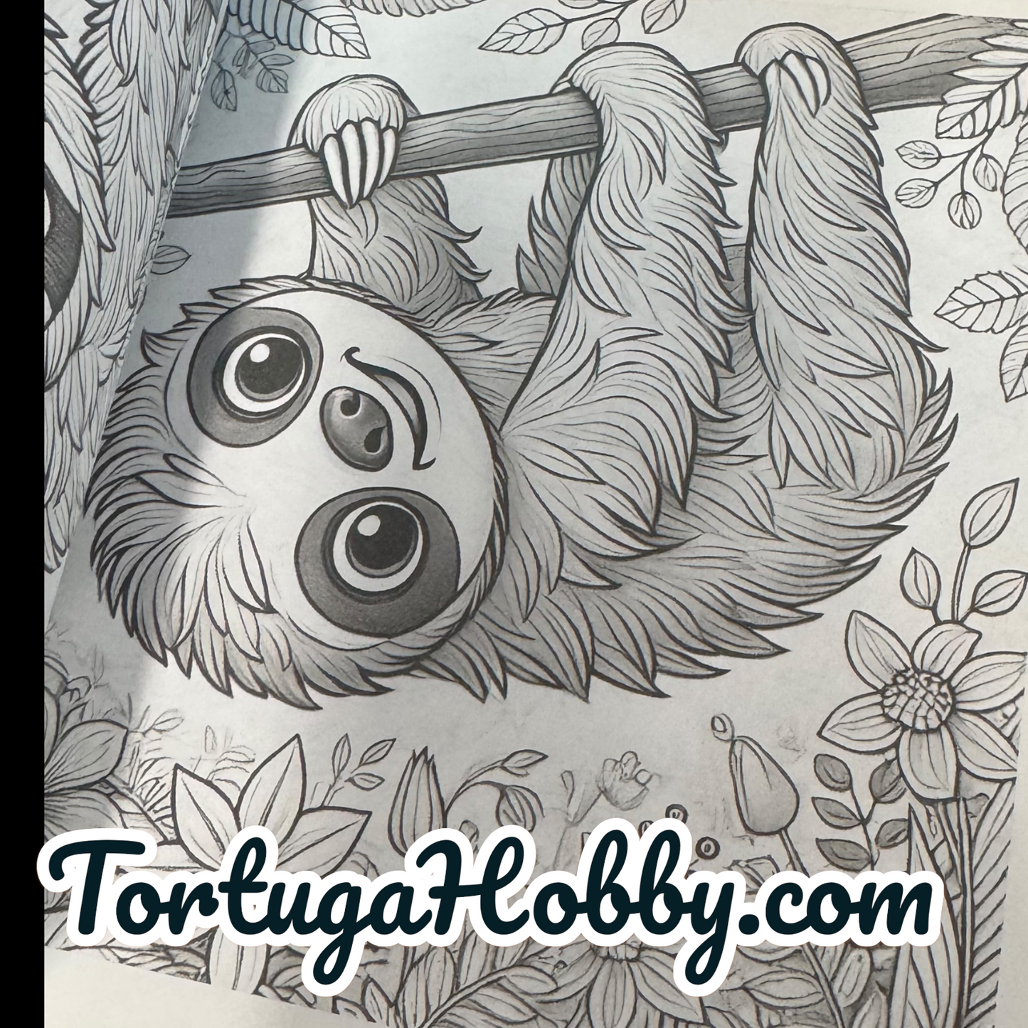 The Book Of Sloth - Adult Coloring Book -  Coloring Book. 100+ Pages.