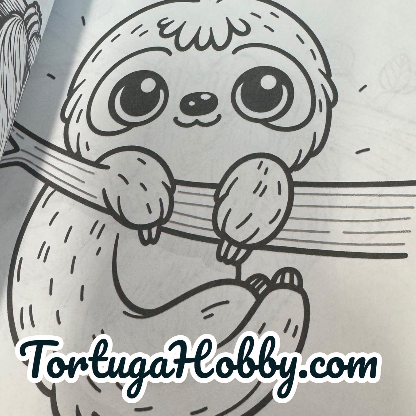 The Book Of Sloth - Adult Coloring Book -  Coloring Book. 100+ Pages.