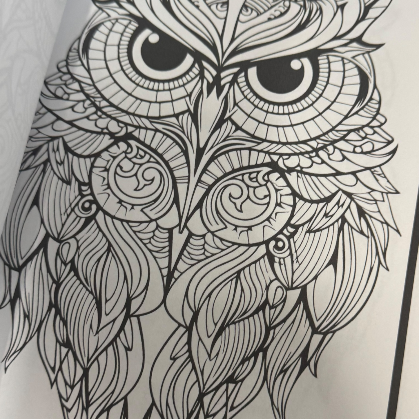 Owls - Adult Coloring Book