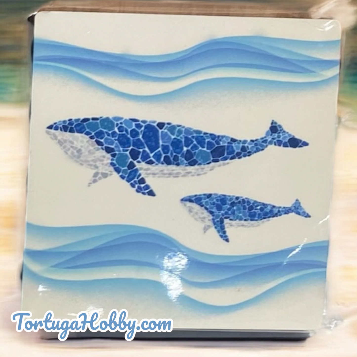 Coaster Set - Mosaic Sea Life