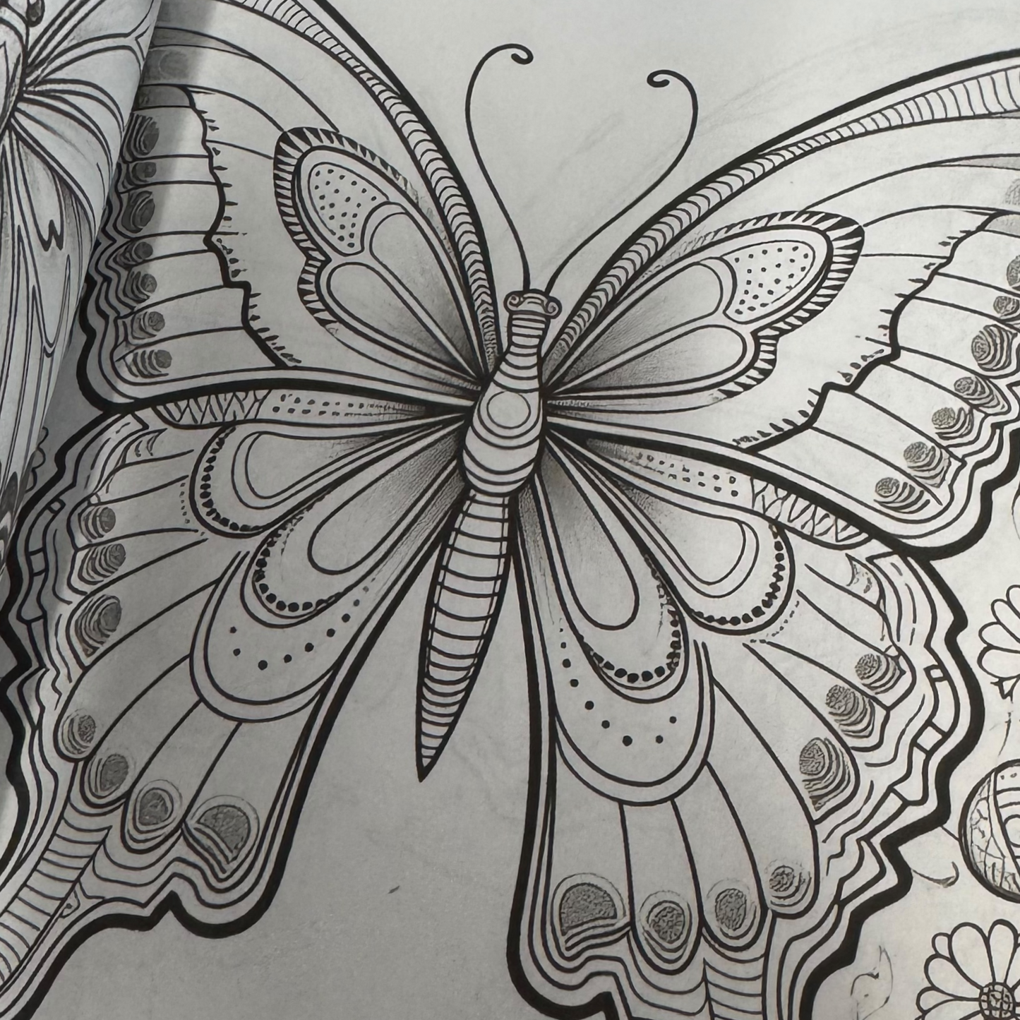 Dragonflies & Butterflies - Adult Coloring Book. 100+ Pages.