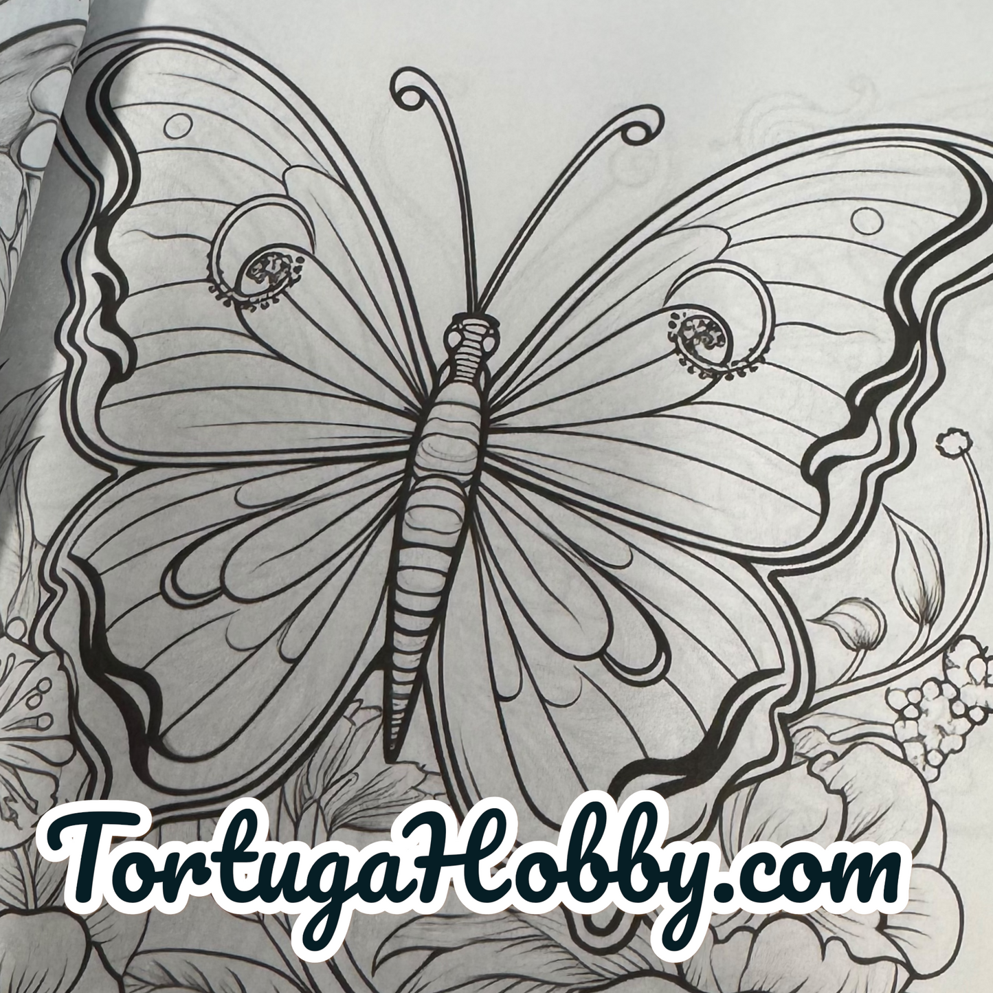 Dragonflies & Butterflies - Adult Coloring Book. 100+ Pages.