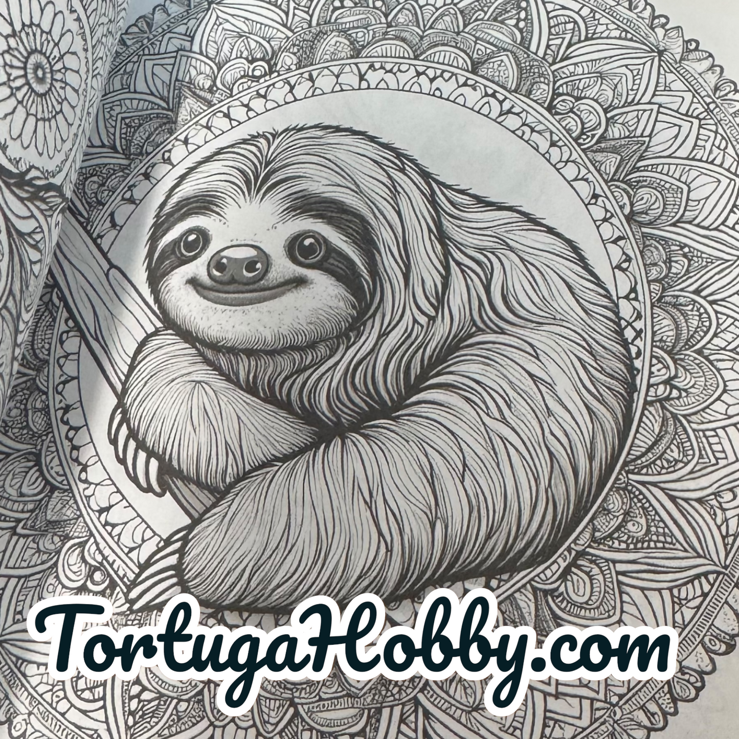 The Book Of Sloth - Adult Coloring Book -  Coloring Book. 100+ Pages.