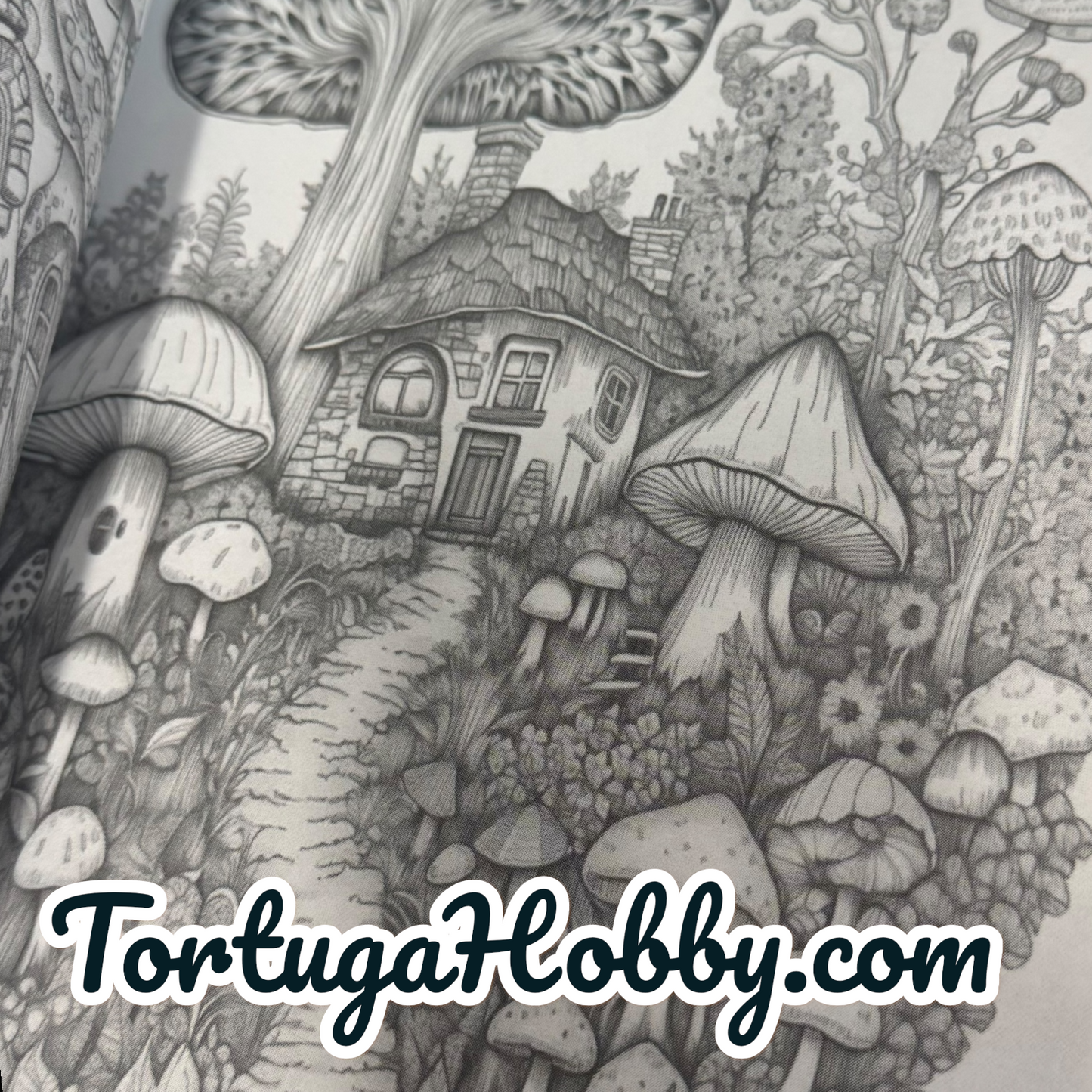 Coloring Book - Distant Fantasy Lands Coloring Book