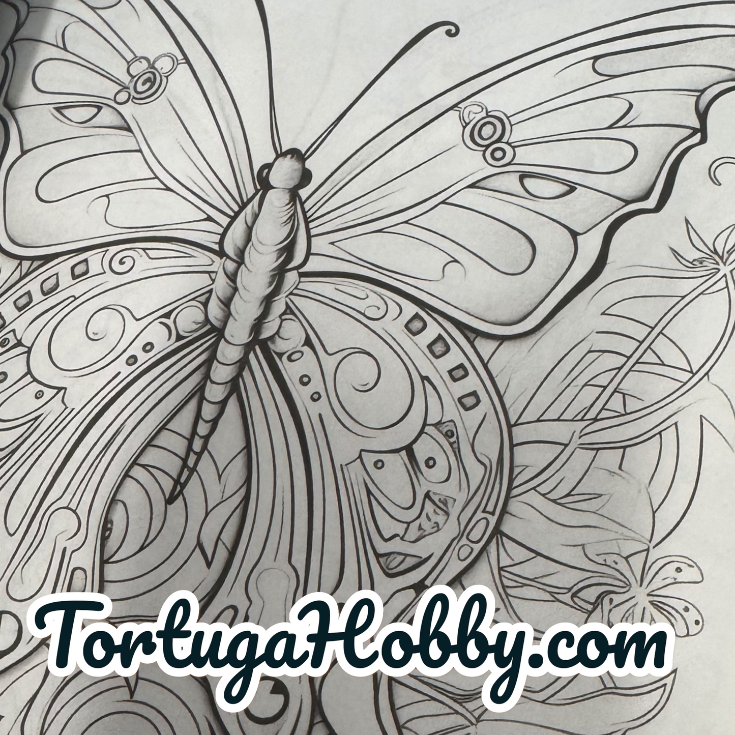 Dragonflies & Butterflies - Adult Coloring Book. 100+ Pages.
