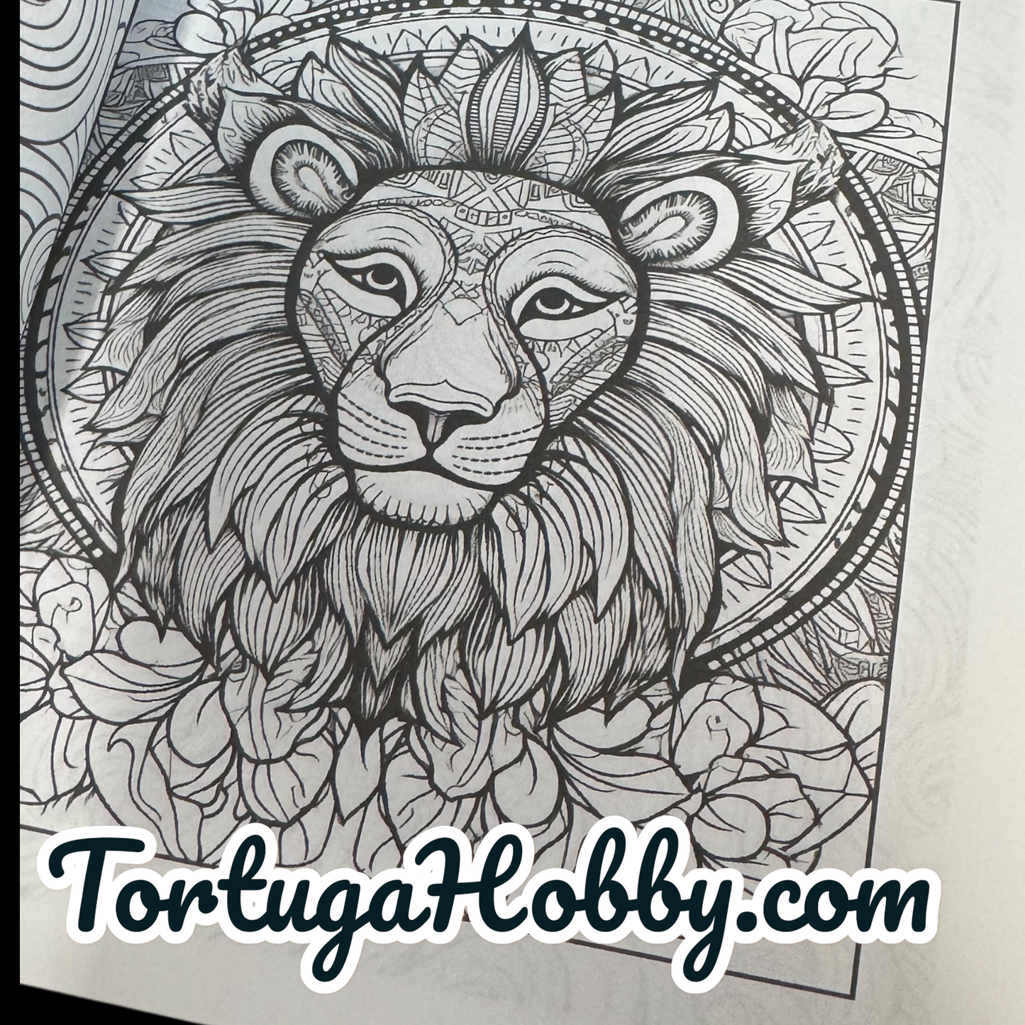 Art Therapy - Adult Coloring Book -  Coloring Book. 100+ Pages.