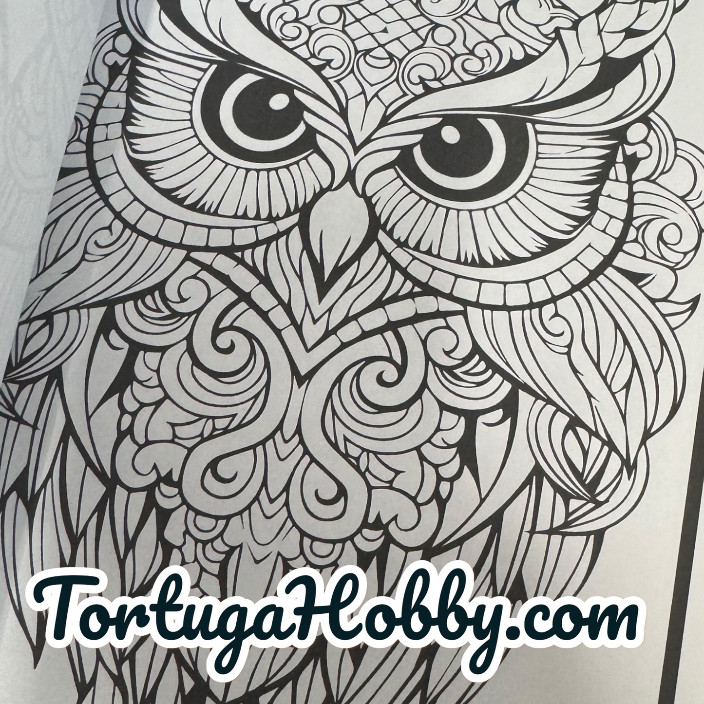 Owls - Adult Coloring Book