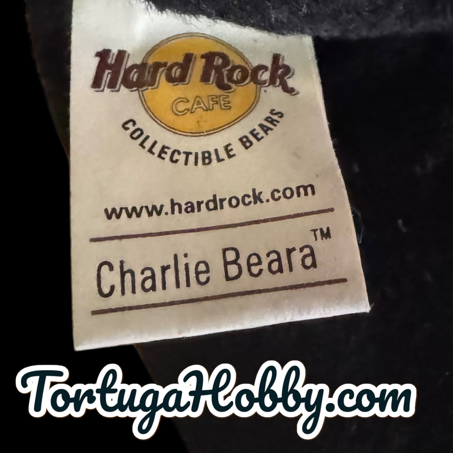 2001 - Hard Rock Café - Newport Beach Bear - 2 Teddy Bear Pack