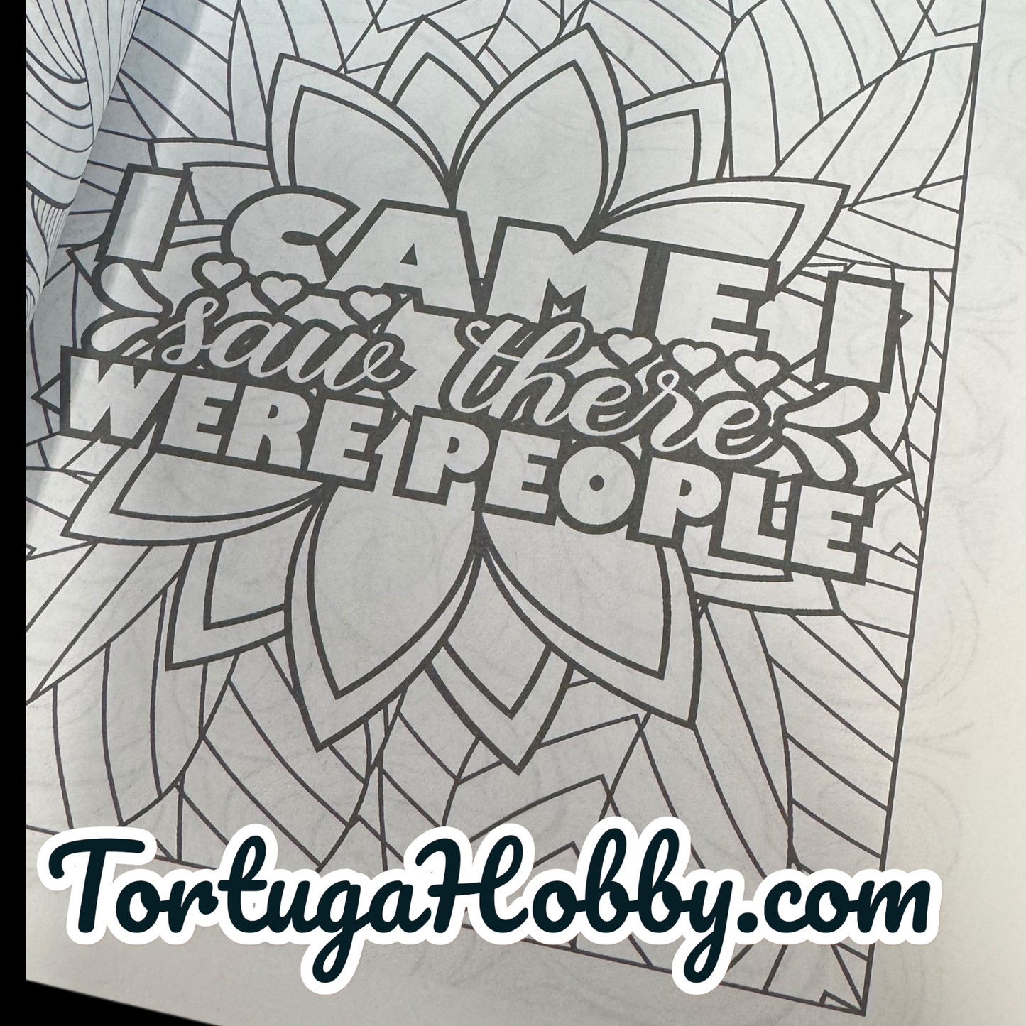 Art Therapy - Adult Coloring Book -  Coloring Book. 100+ Pages.