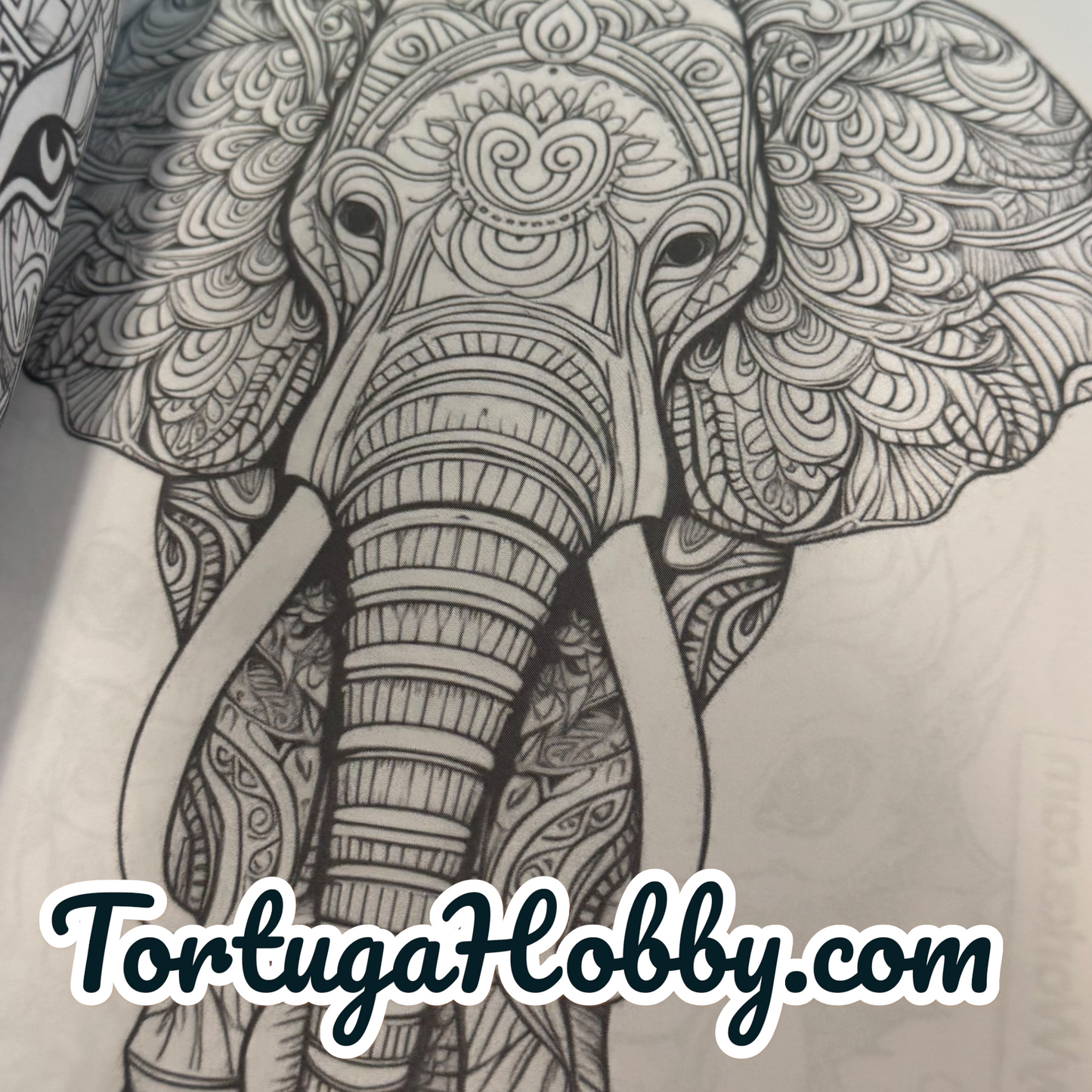 My Animal Designs - Adult Coloring Book. 100+ Pages.