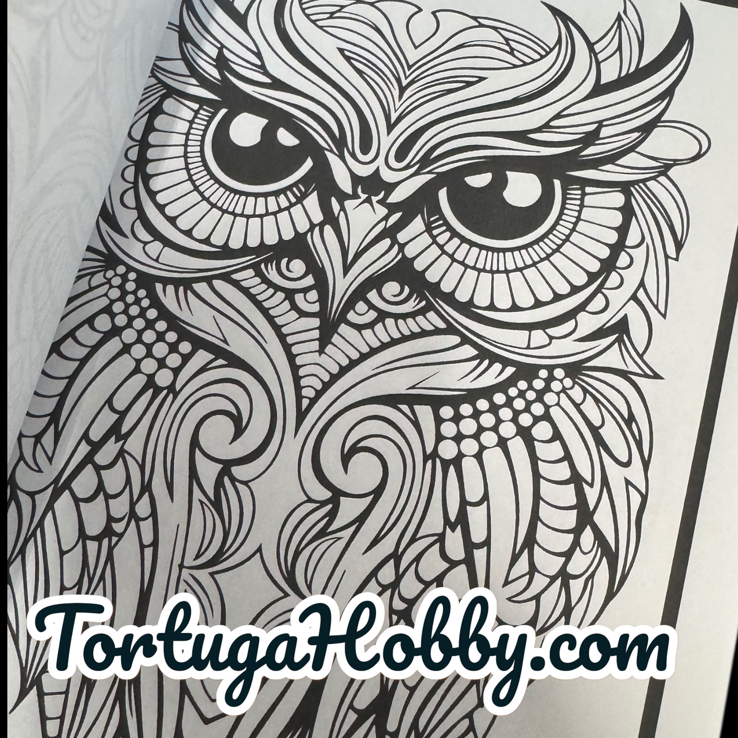 Owls - Adult Coloring Book