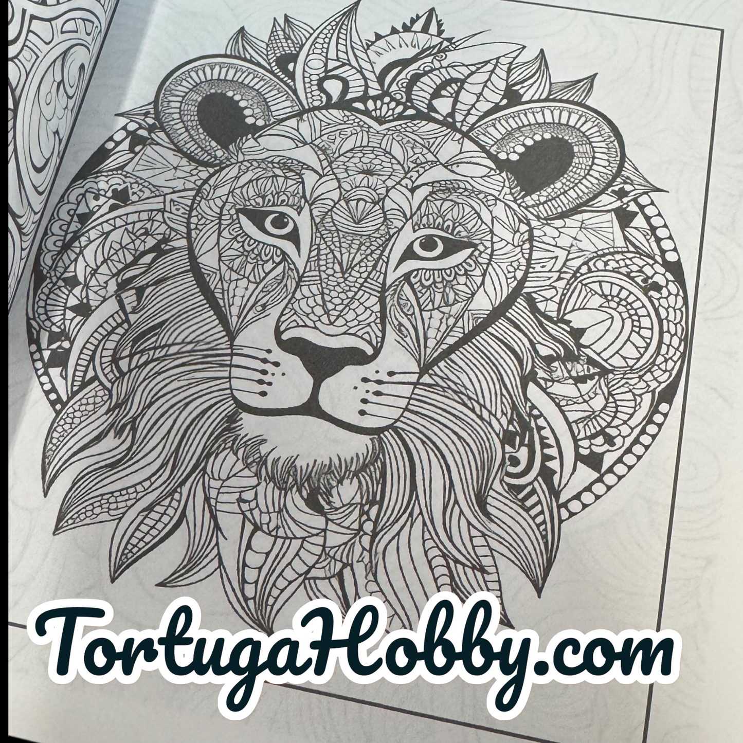 Art Therapy - Adult Coloring Book -  Coloring Book. 100+ Pages.