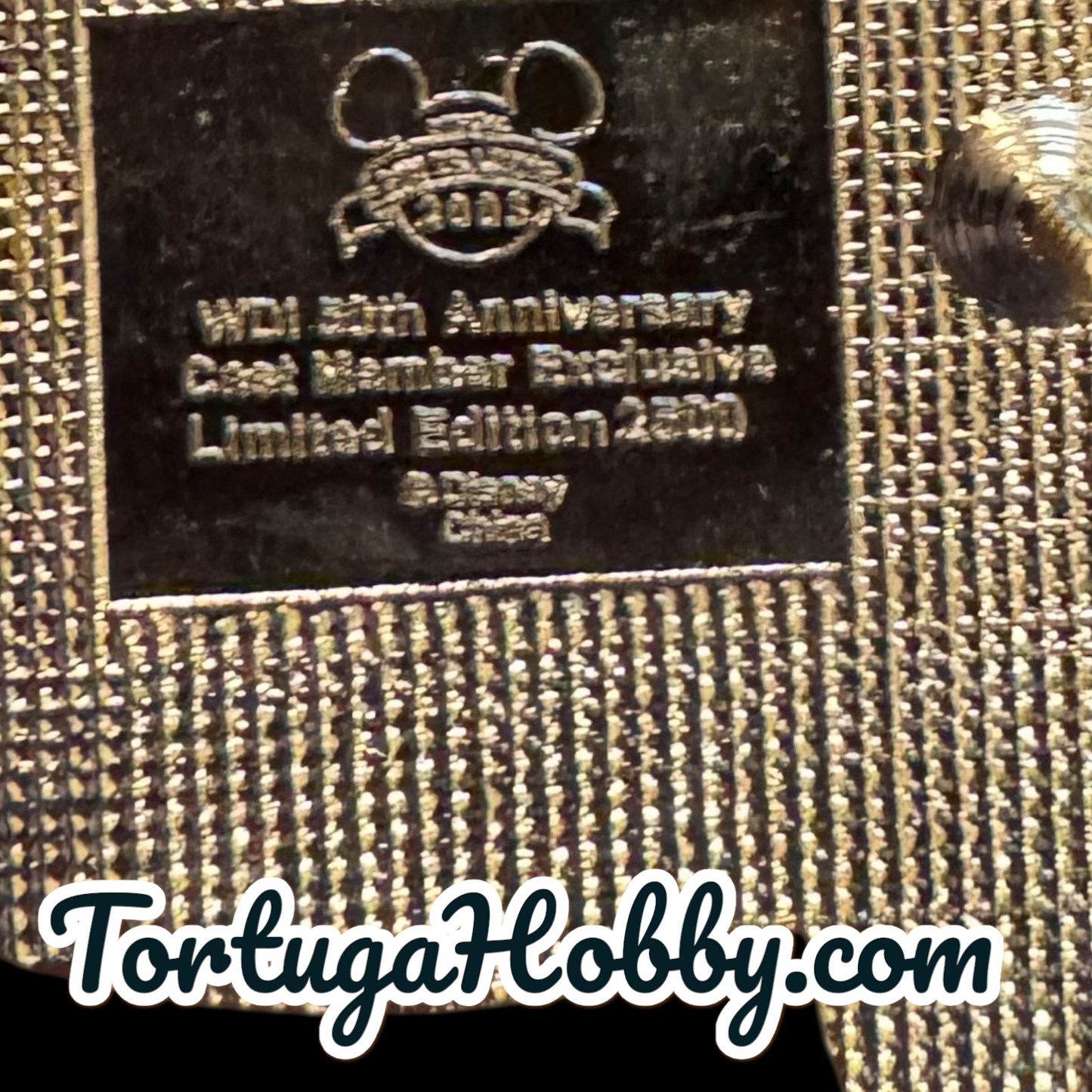 Disney Magic Kingdom 50th Anniversary imagineering Pin