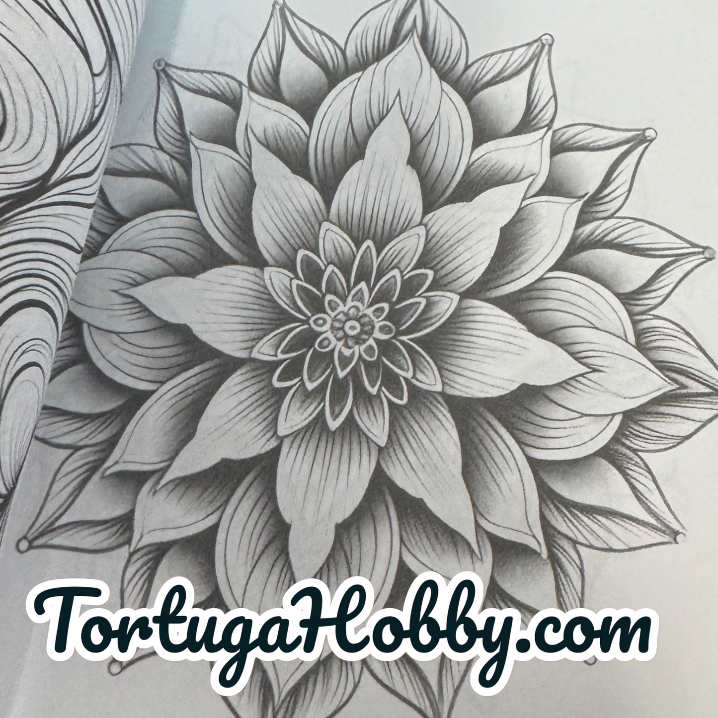 Art Therapy - Adult Coloring Book -  Coloring Book. 100+ Pages.