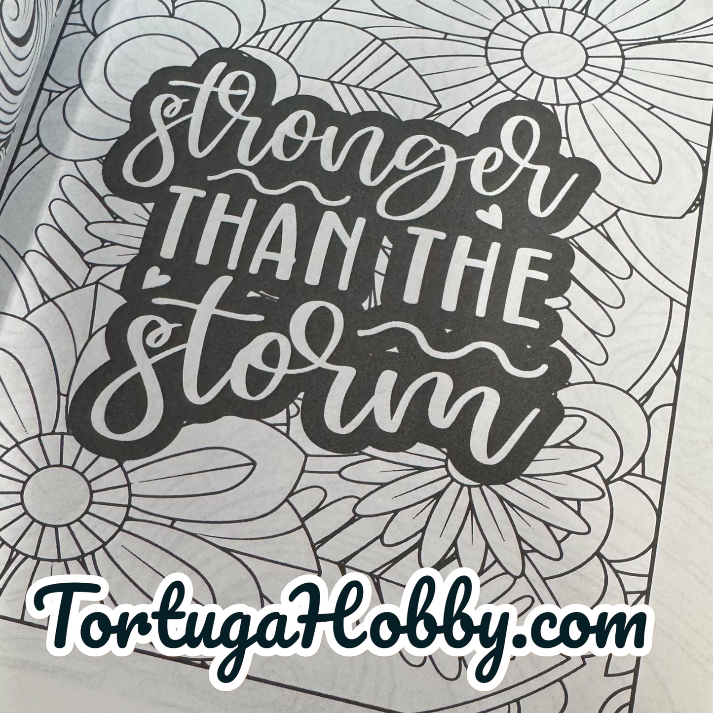 Art Therapy - Adult Coloring Book -  Coloring Book. 100+ Pages.
