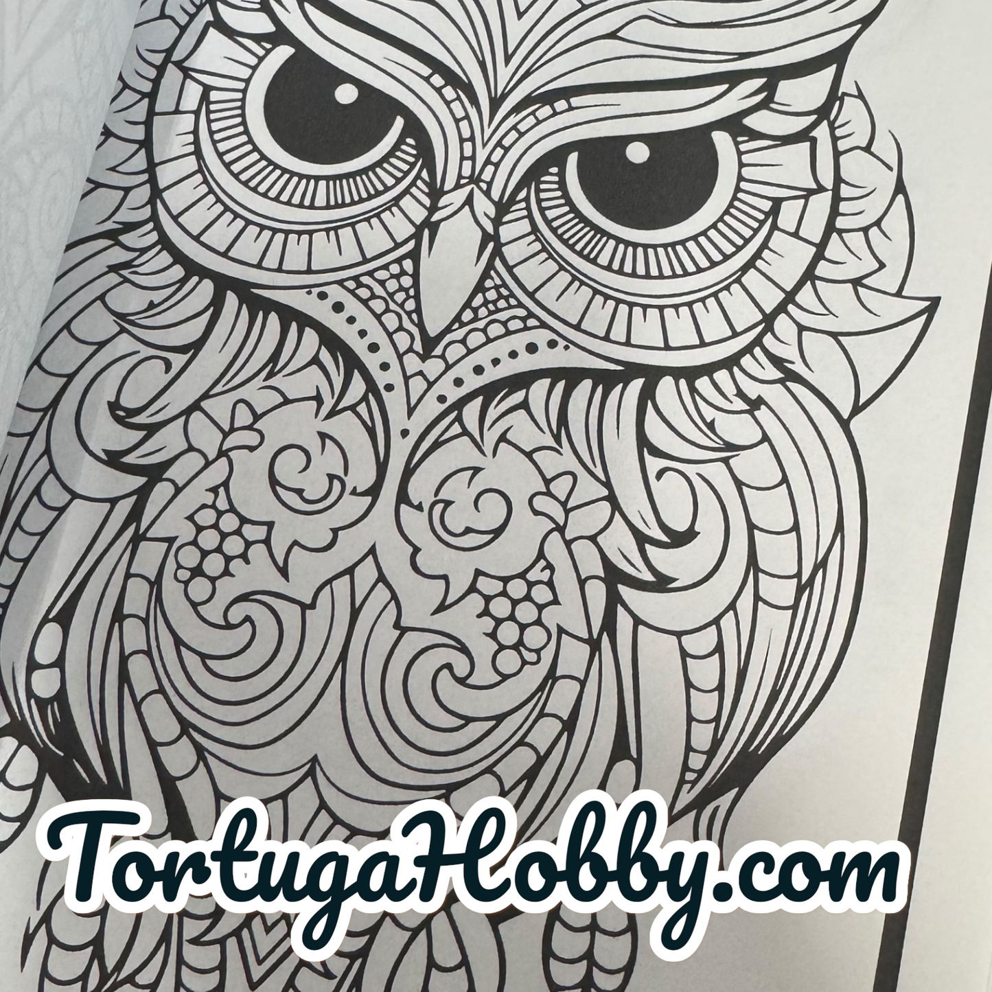 Owls - Adult Coloring Book