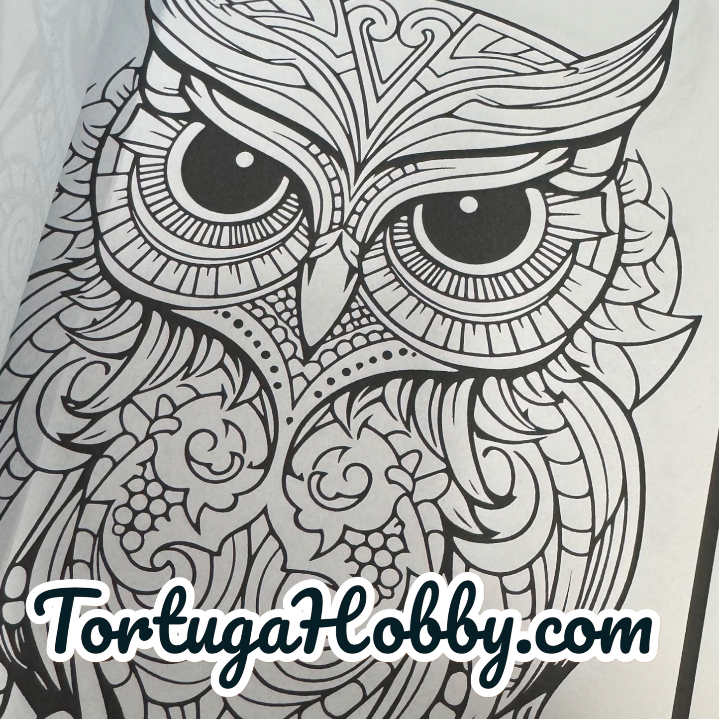 Owls - Adult Coloring Book