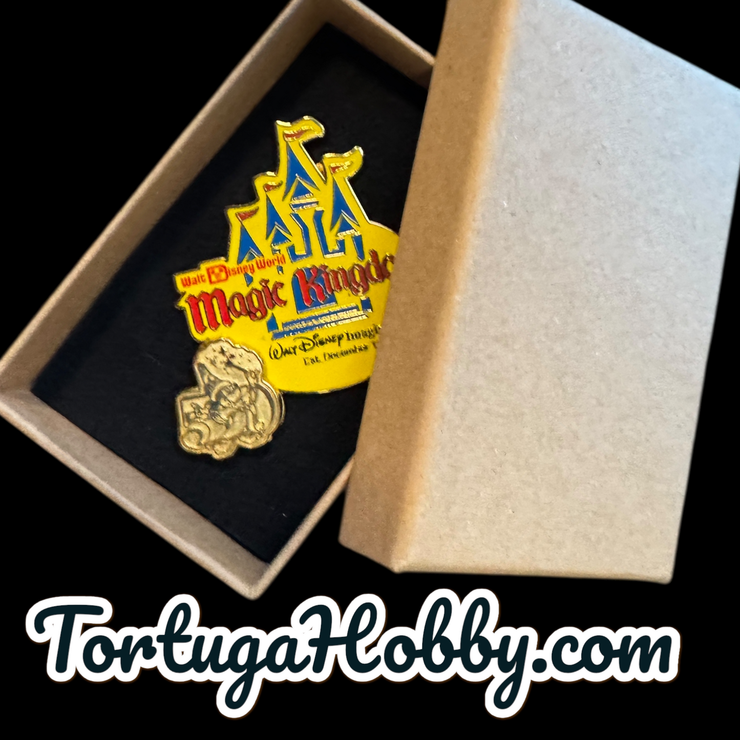 Disney Magic Kingdom 50th Anniversary imagineering Pin