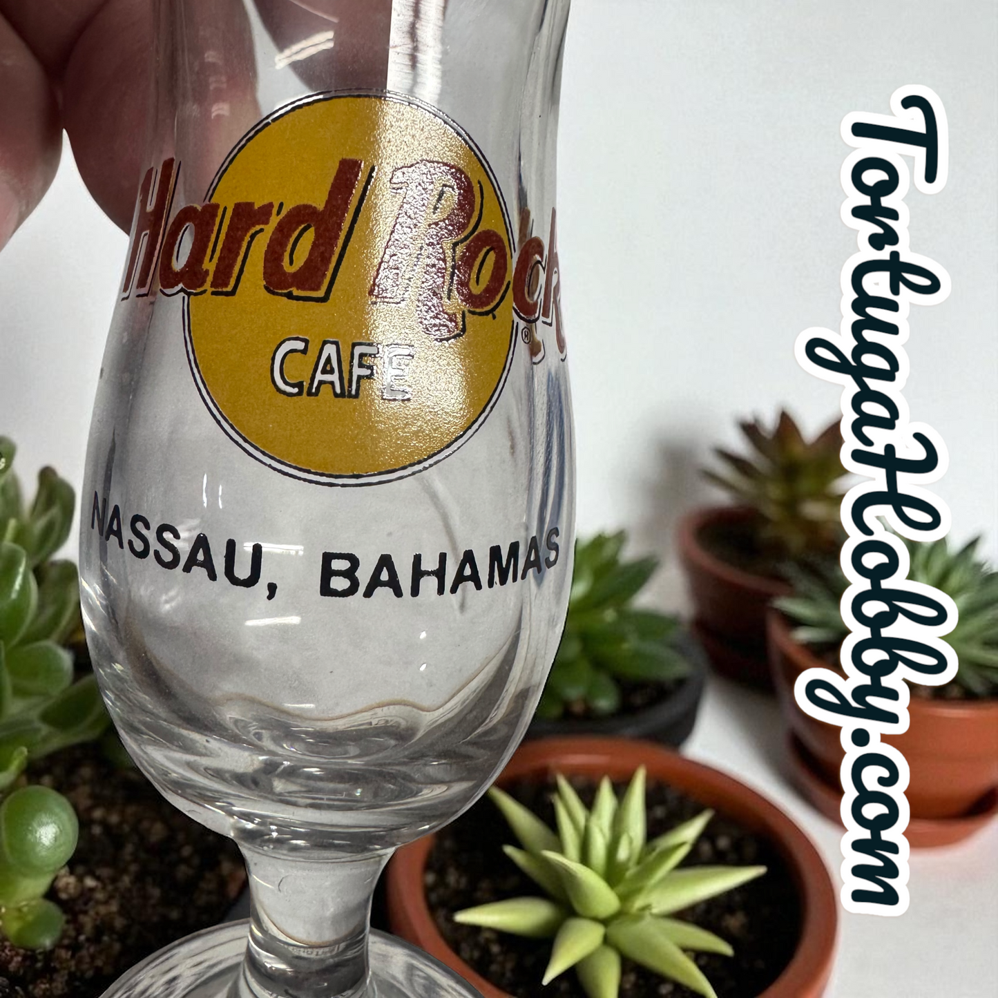 Hard Rock Cafe - Nassau, Bahamas - 4" Tall Shot Glass