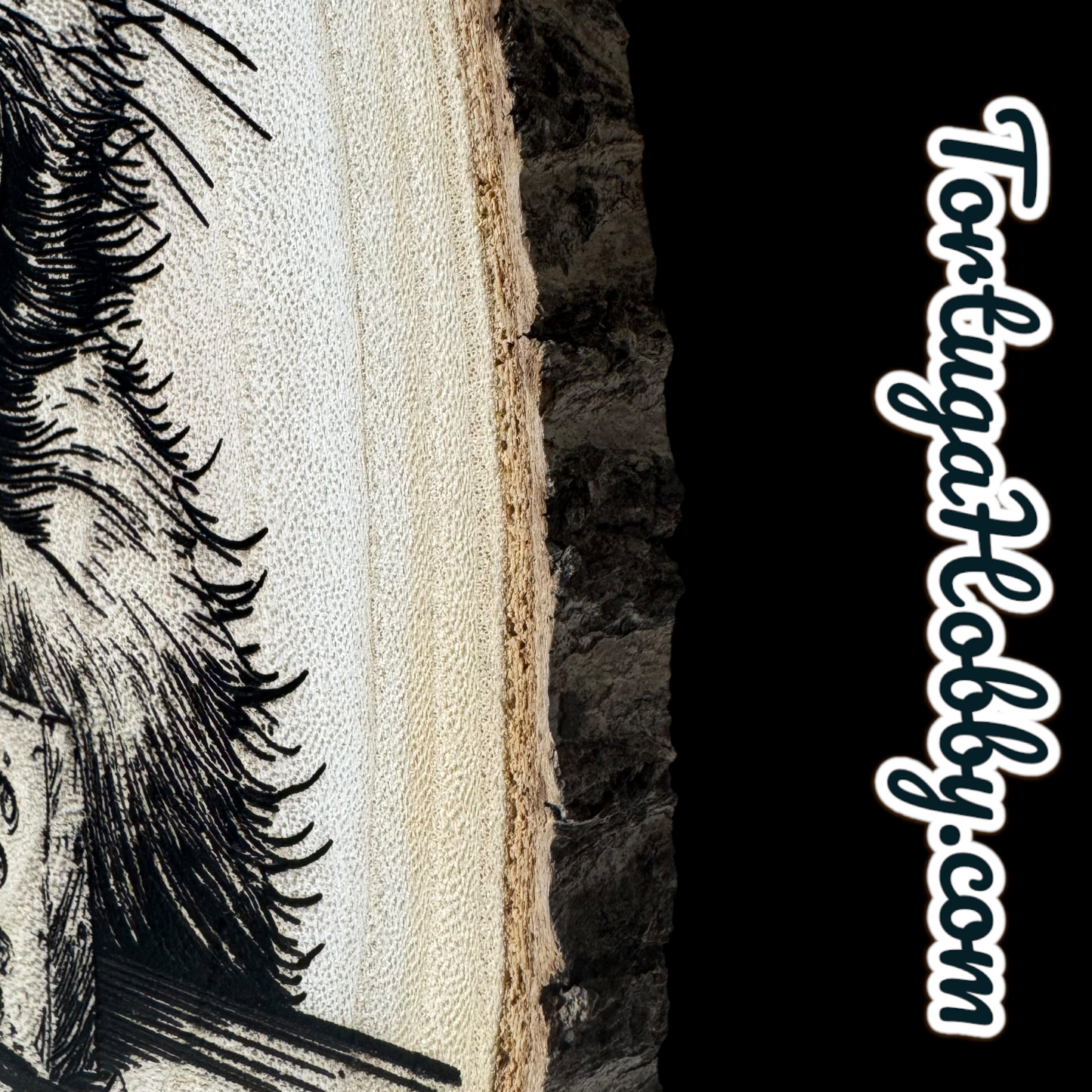 Engraved Wood Slice with Wine and Cheese Eating Beaver Graphic