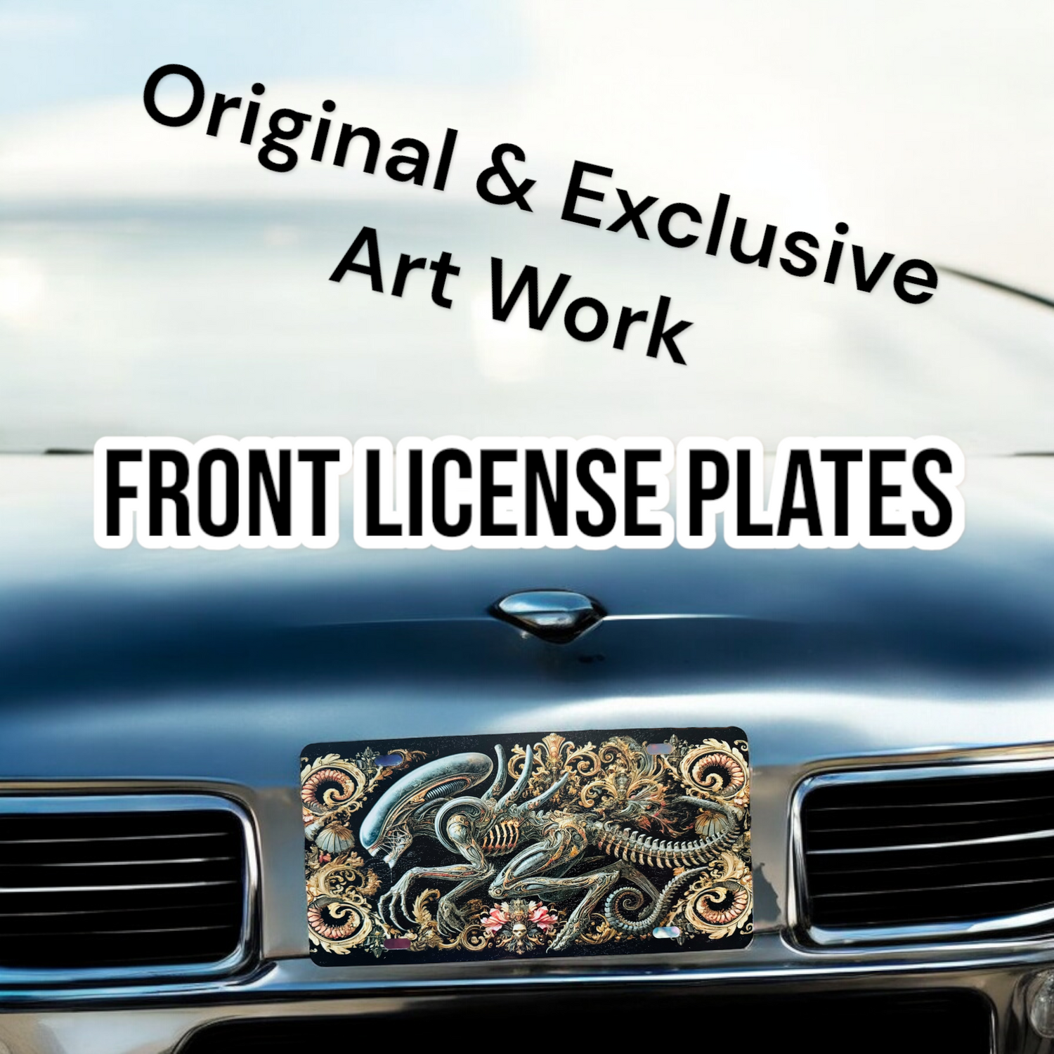 Front License Plates