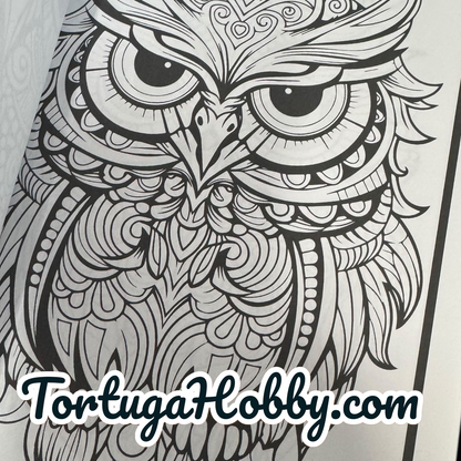 Owls - Adult Coloring Book