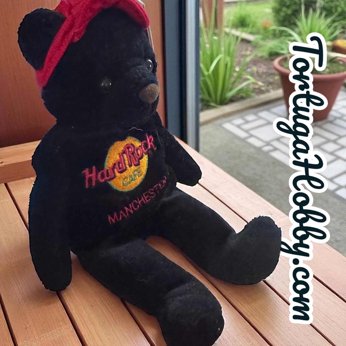 2005 - Hard Rock Café Bear - Manchester - Charlie Beara - All Is One