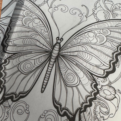 Wonderful World of Butterflies Adult Coloring Book
