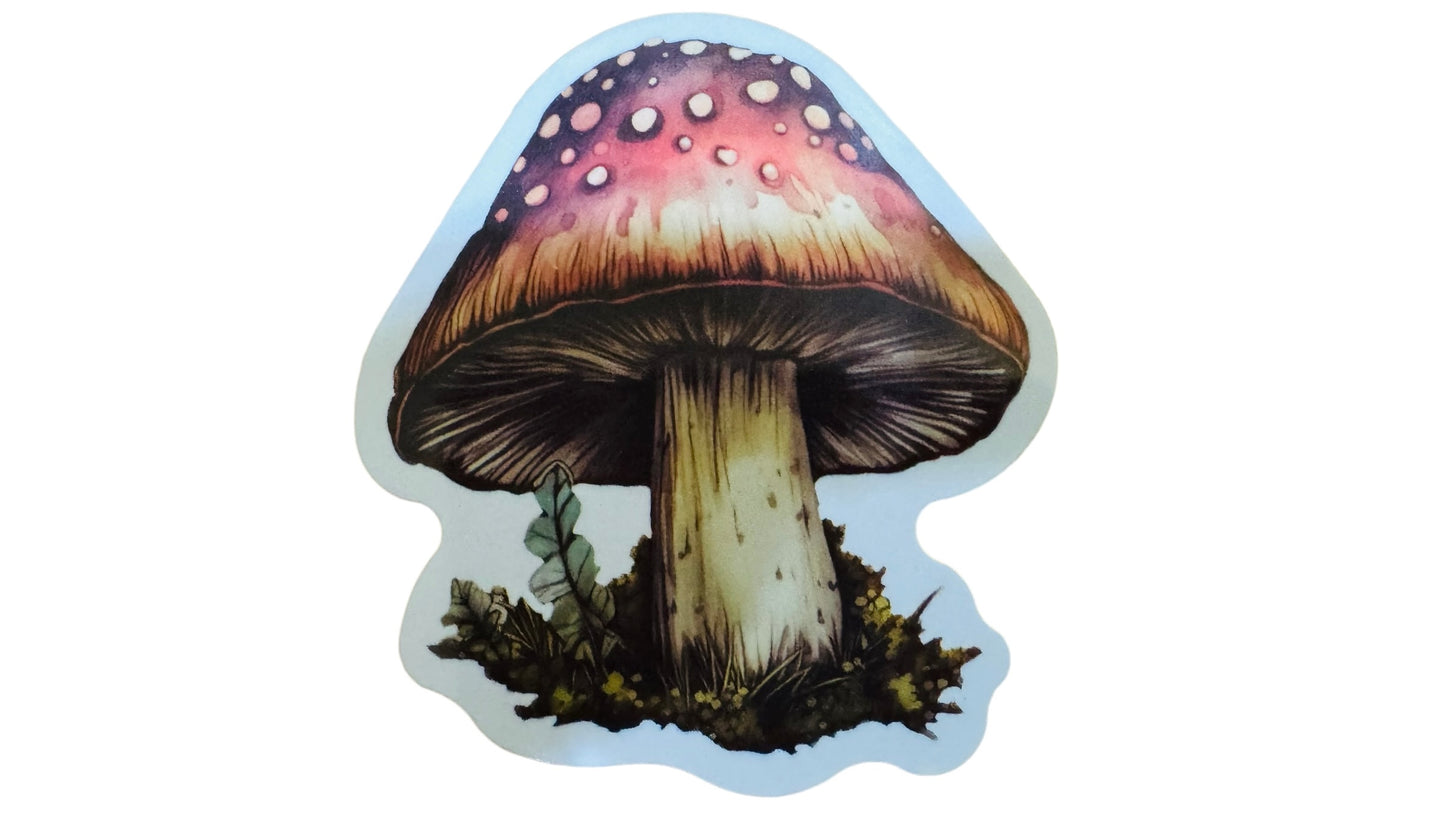 Keyring - Mushroom Sticker & Keyring Gift Pack