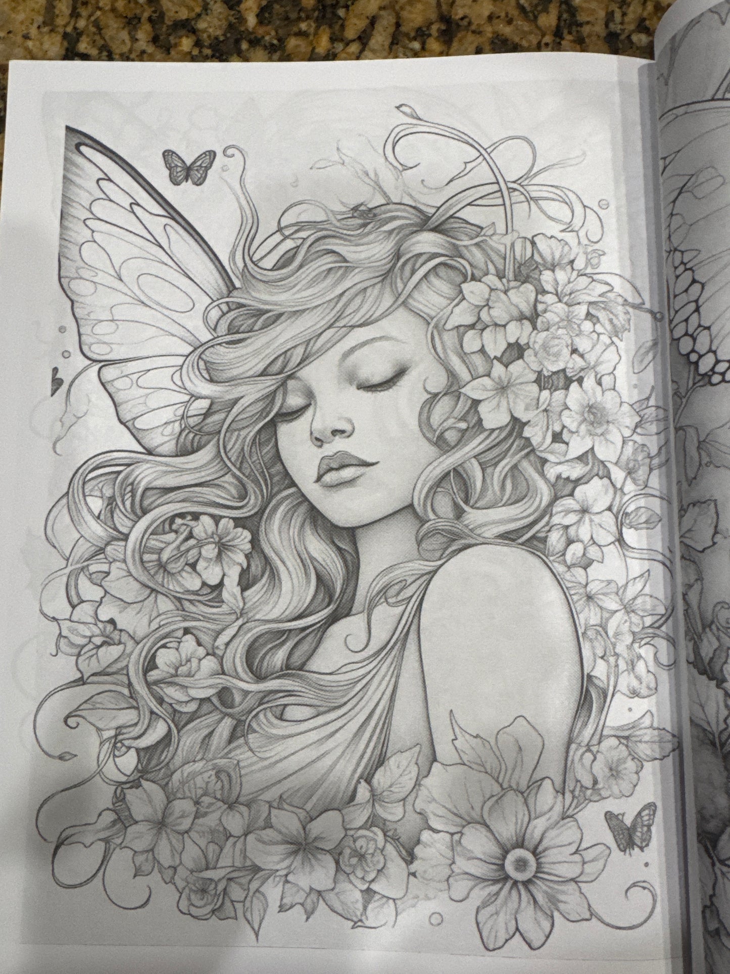 A Fairy Adventure - Adult Coloring Book