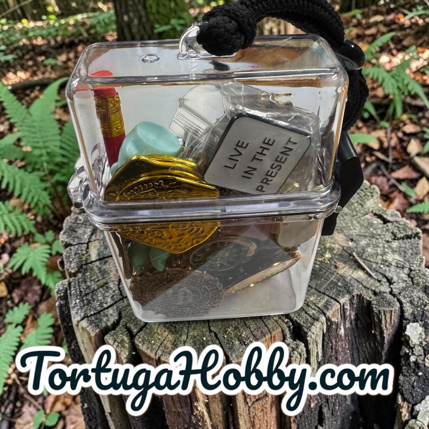 Geocache Treasure Hunting Kits w/ Carrying Case