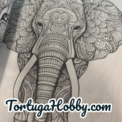 Coloring Book - My Animal Designs Adult Coloring Book