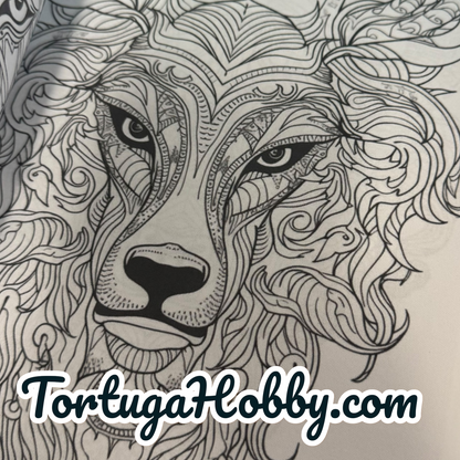 Coloring Book - My Animal Designs Adult Coloring Book