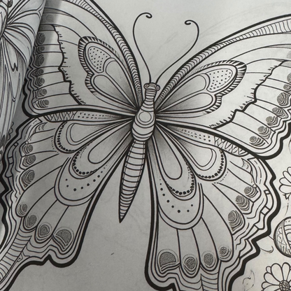 Wonderful World of Butterflies Adult Coloring Book
