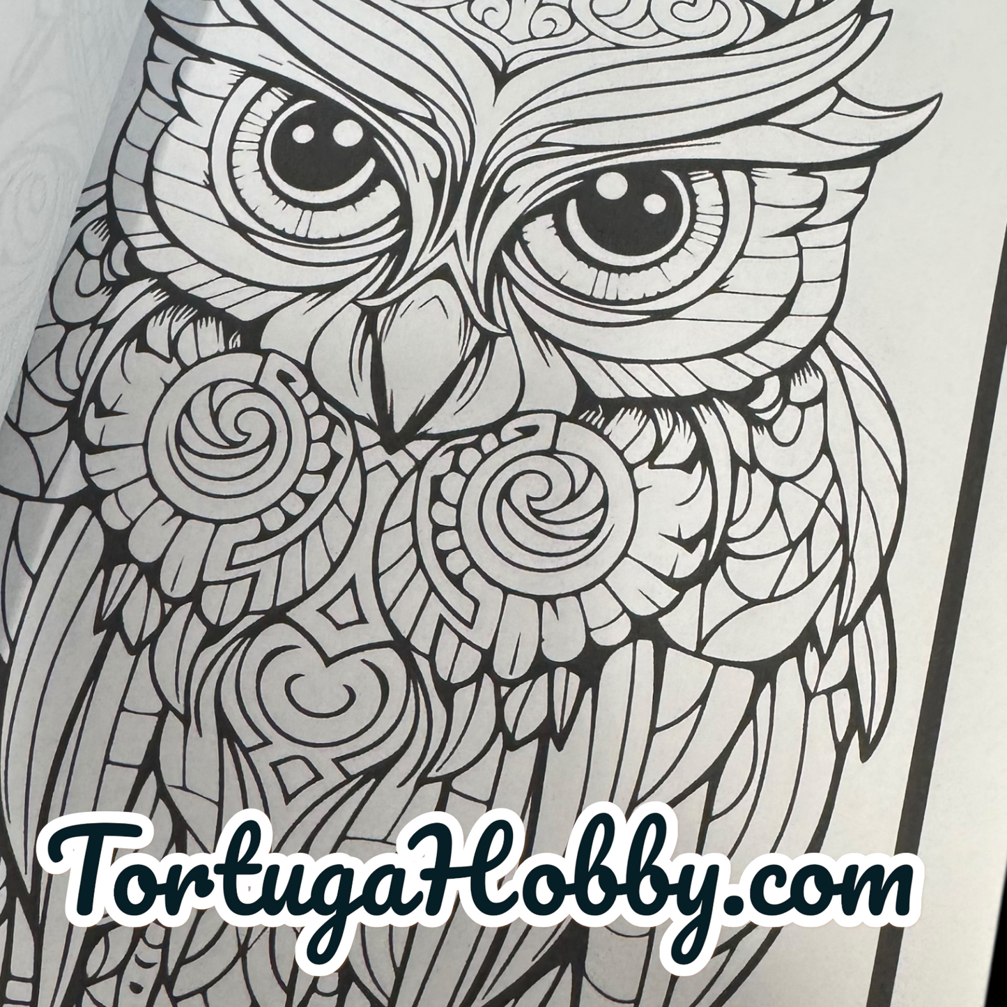 Owls - Adult Coloring Book