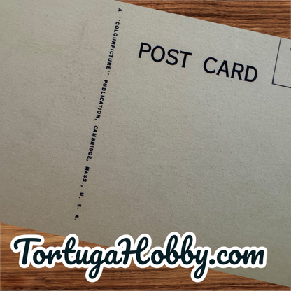 1940 -  Ride 'Em, Cowboy, Ride 'Em" Vintage Linen Post Card