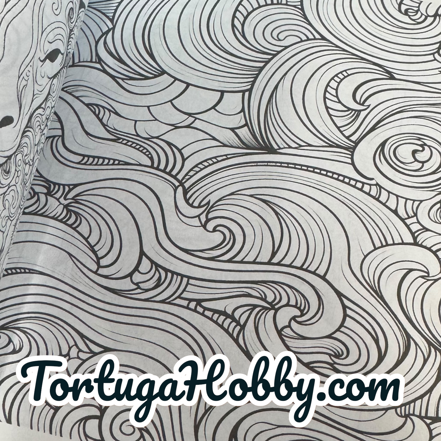Art Therapy - Adult Coloring Book -  Coloring Book. 100+ Pages.