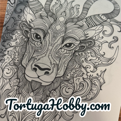 Coloring Book - My Animal Designs Adult Coloring Book