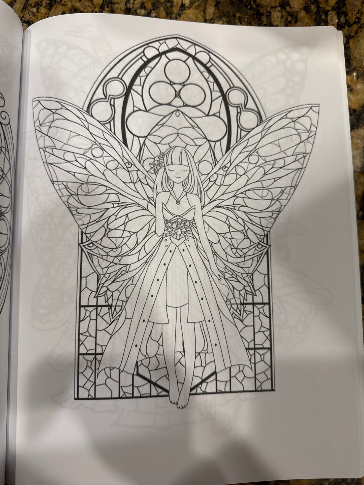 A Fairy Adventure - Adult Coloring Book