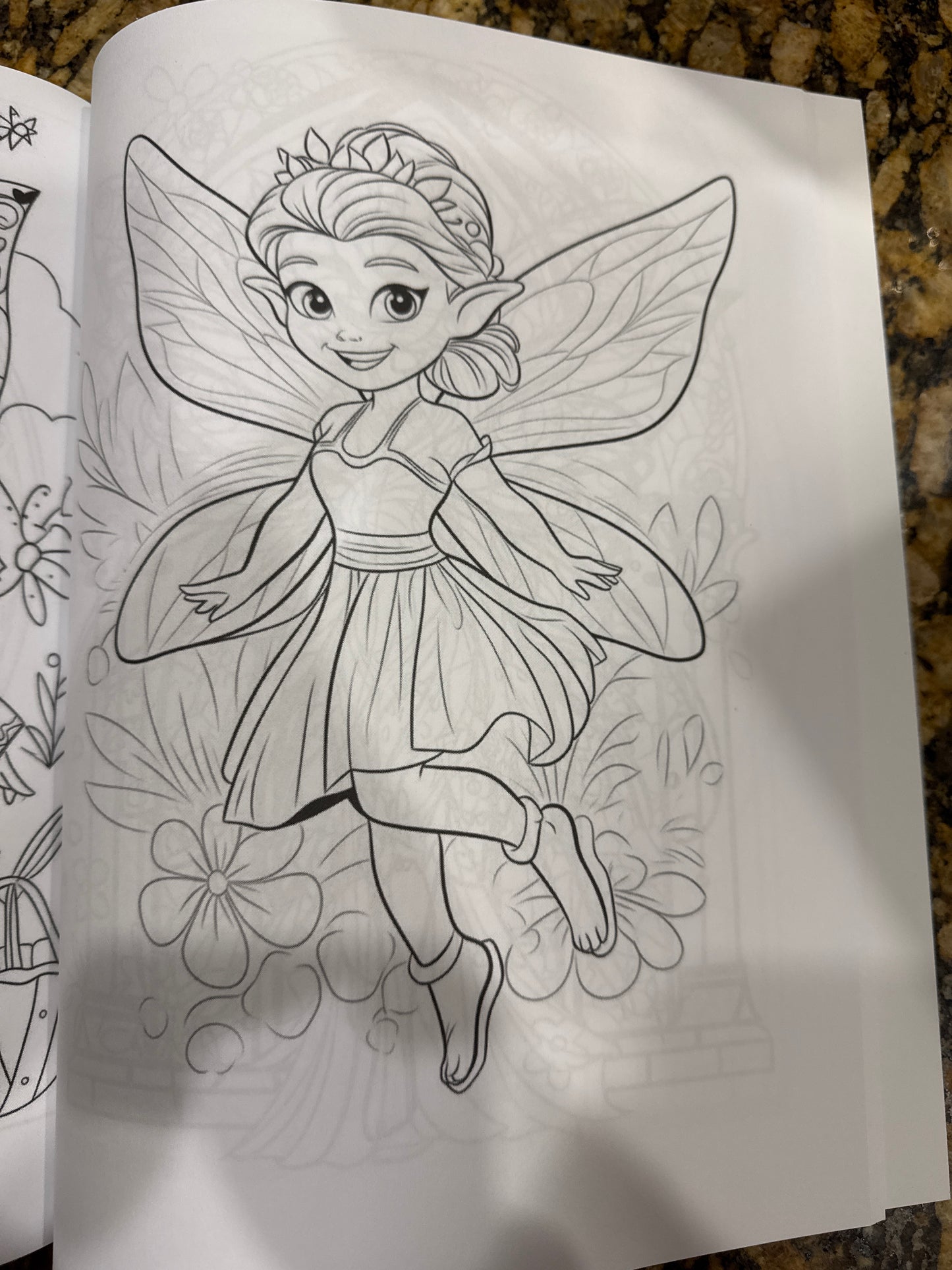 A Fairy Adventure - Adult Coloring Book