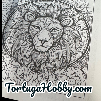 Art Therapy - Adult Coloring Book -  Coloring Book. 100+ Pages.