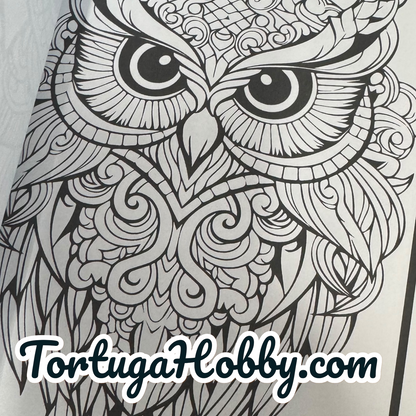 Owls - Adult Coloring Book