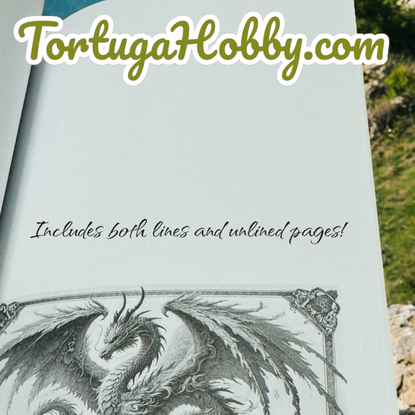 Journal of Dragons Featuring Exclusive Dragon Art on Every Page.