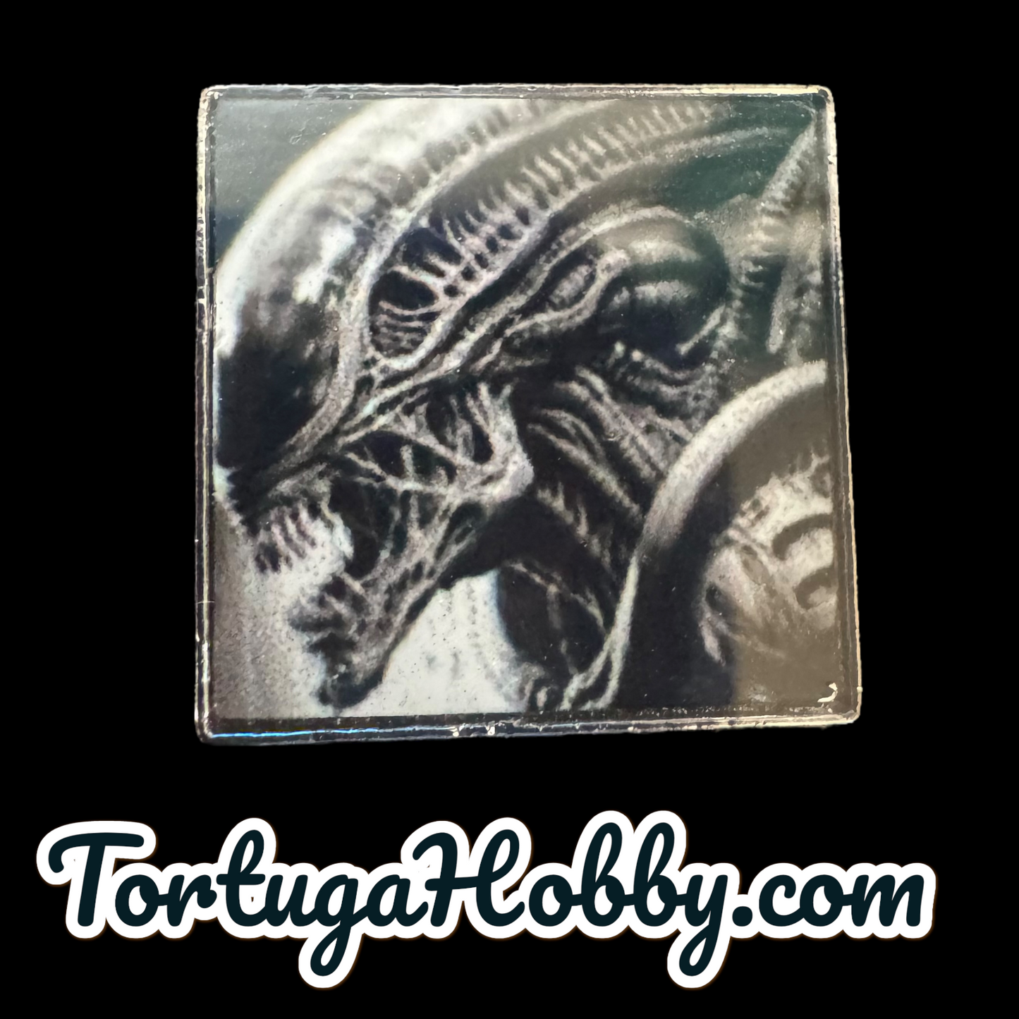 Xenomorph 4 Pin Set
