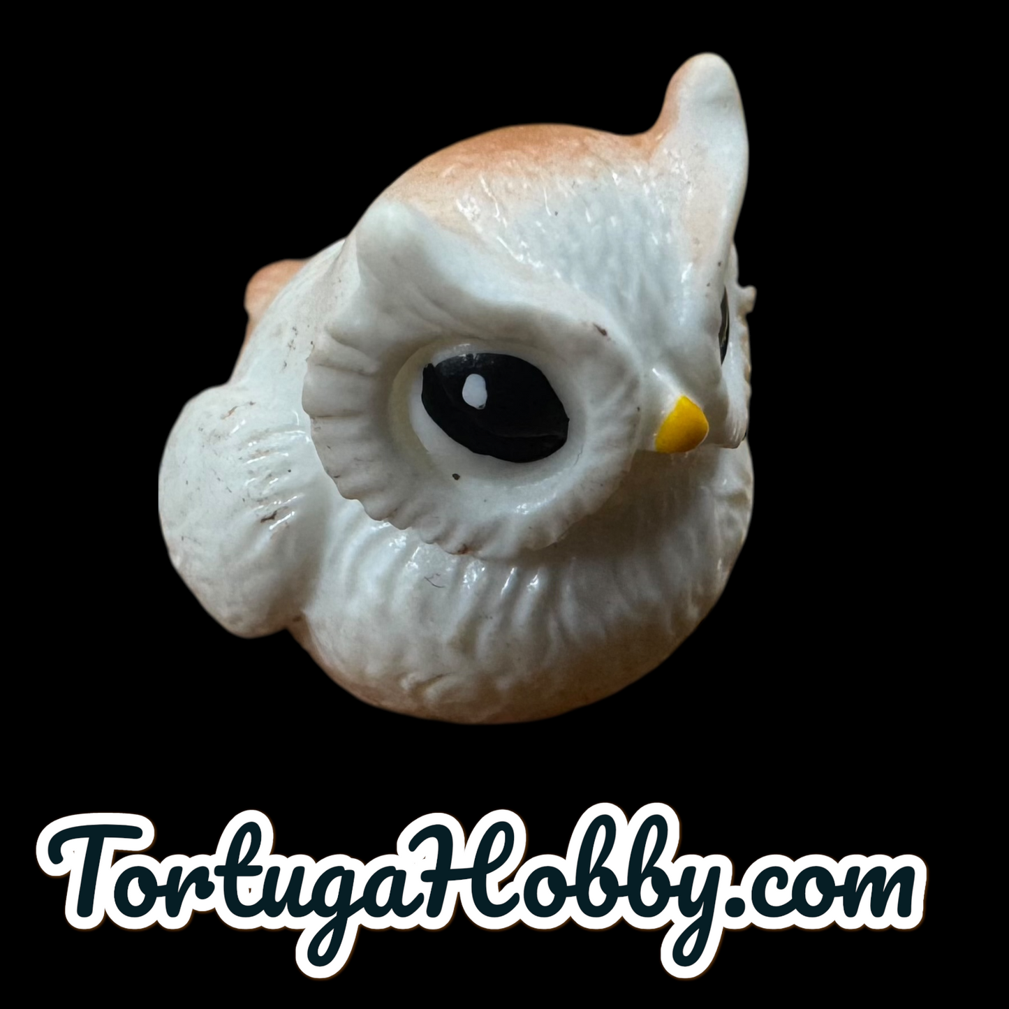 10pc Owl Counters in Golden Box Perfect for Unique Game Night - CCG - Role Play